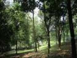 Blk 181 Jelebu Road (Bukit Panjang), HDB Executive #210044111